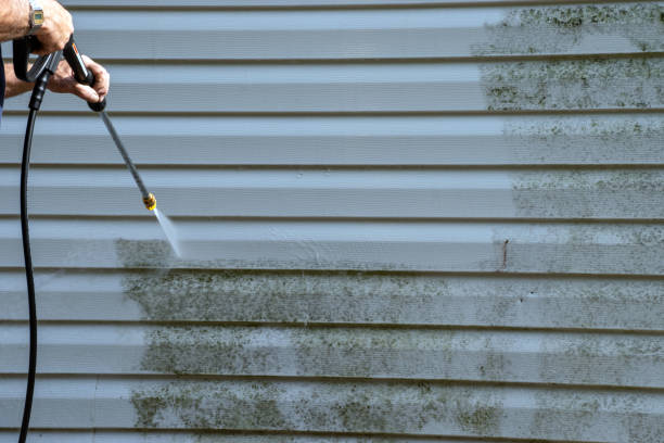 Best Siding Removal and Disposal  in Ruckersville, VA