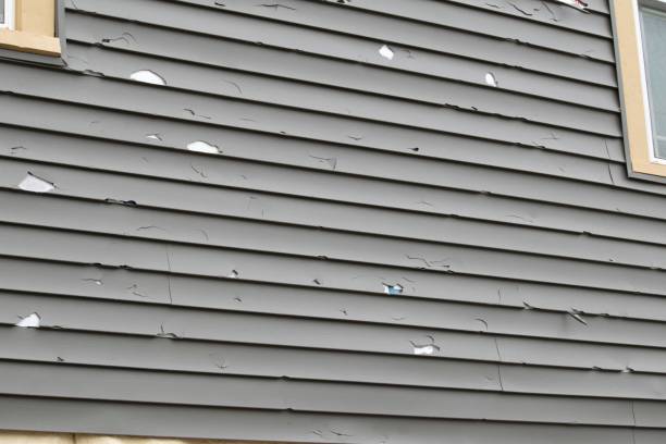 Affordable siding repair and maintenance services in Ruckersville, VA