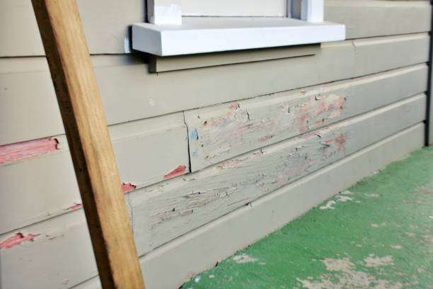 Best Custom Siding Design  in Ruckersville, VA