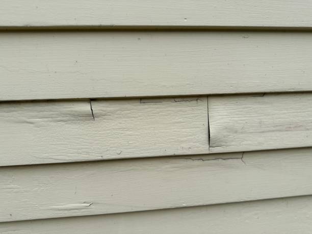 Best Steel Siding Installation  in Ruckersville, VA